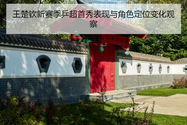 王楚钦新赛季乒超首秀表现与角色定位变化观察